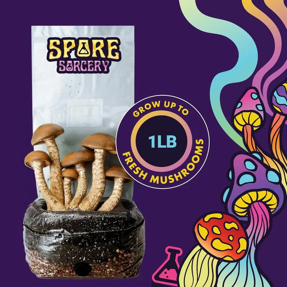 SPORES LB All-in-One Grow Bag: Up to 16oz Mushrooms! Nutrient-Enhanced, Injection Port, Add Spores & Grow