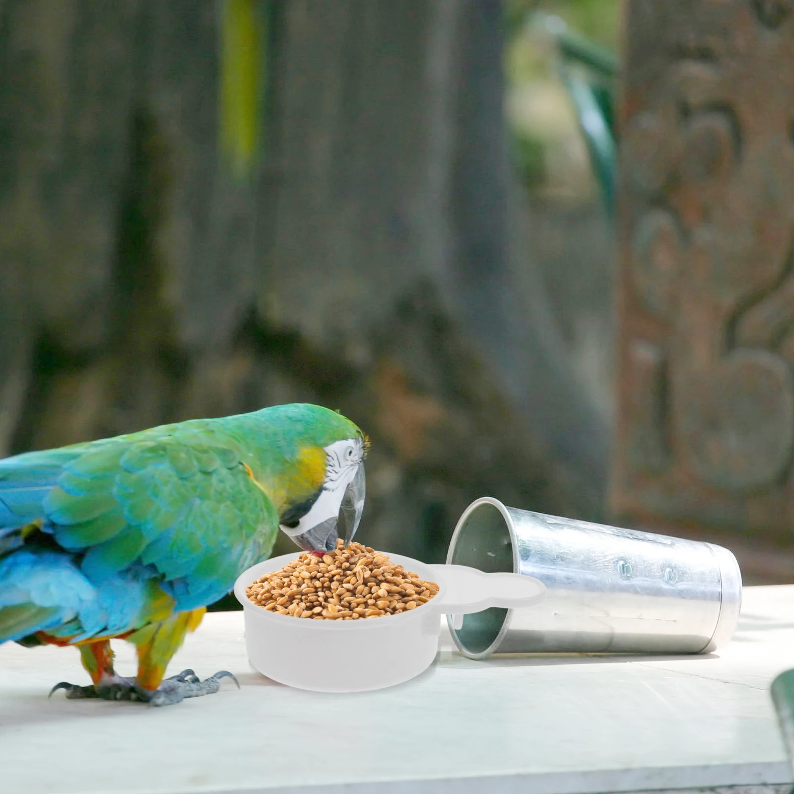 

2Pcs Bird Feeder for Cage Durable Plastic Food Dish Small Birds Parakeet Budgie Cockatiel Feeding Bowl No Mess