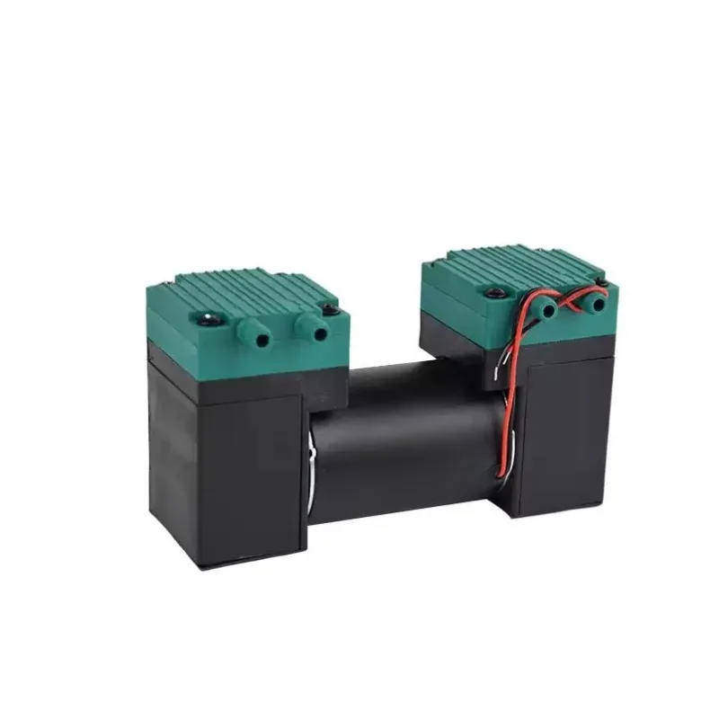 Industrial Mini Double Head DC Negative Pressure Pump High Flow Strong Suction Diaphragm Vacuum Air Extraction Pump
