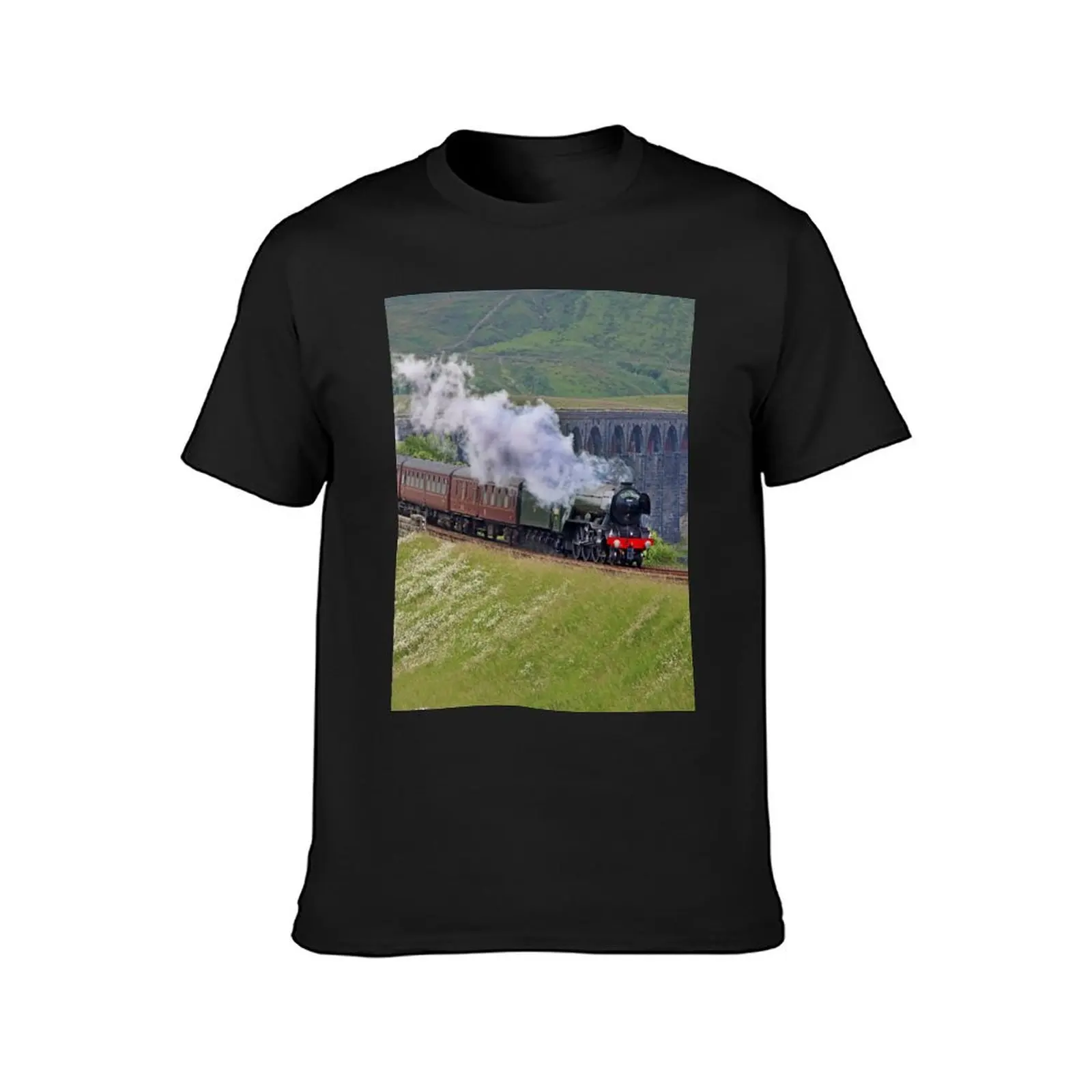 60103 Flying Scotsman atRibblehead2 T-Shirt new edition animal prinfor boys men t shirt