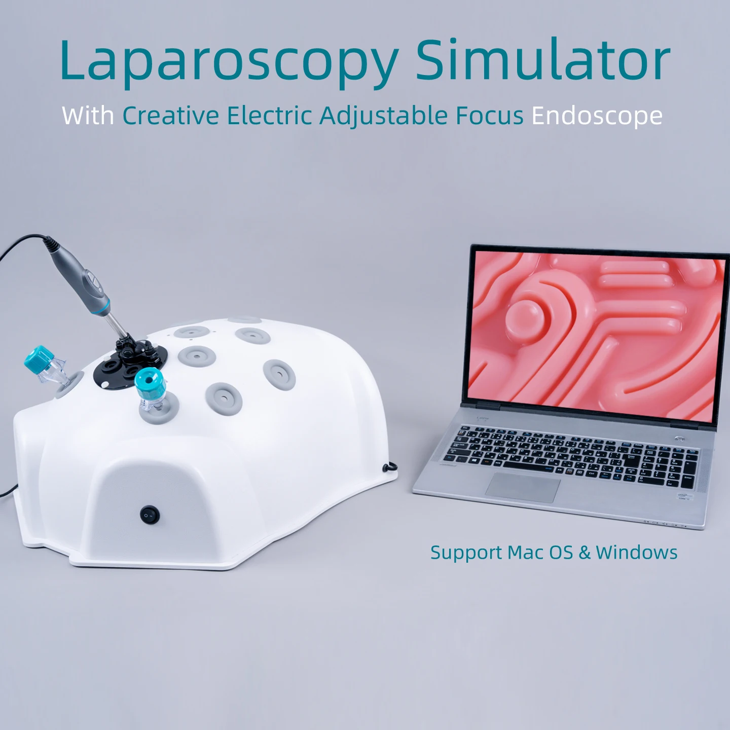 Simulator With Training Box With USB FHD Electric Focus Endoscopic Trainer Gynecological Skill and Practice