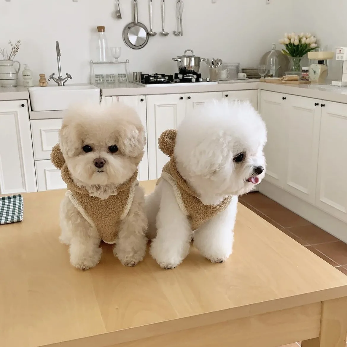 

Ins Trend Warm Pet Cape Made Of Eco-Friendly Fur And Plush Material Cute Little Dog'S Shawl-Style Brown Coat