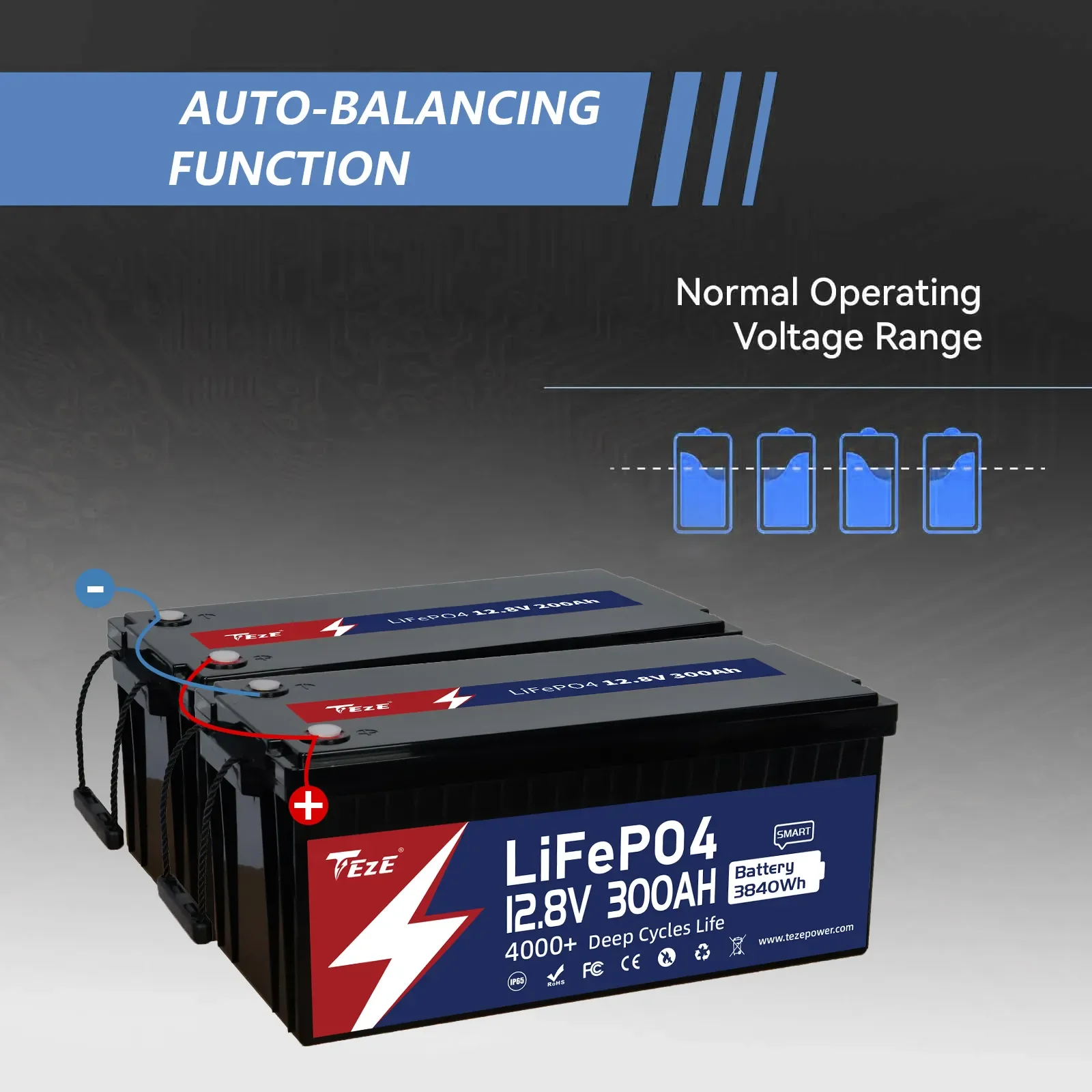 TezePower 12V 300Ah LiFePO4 Battery with Bluetooth, Self-heating and Active Balancer, Built-in Smart 200A Daly BMS