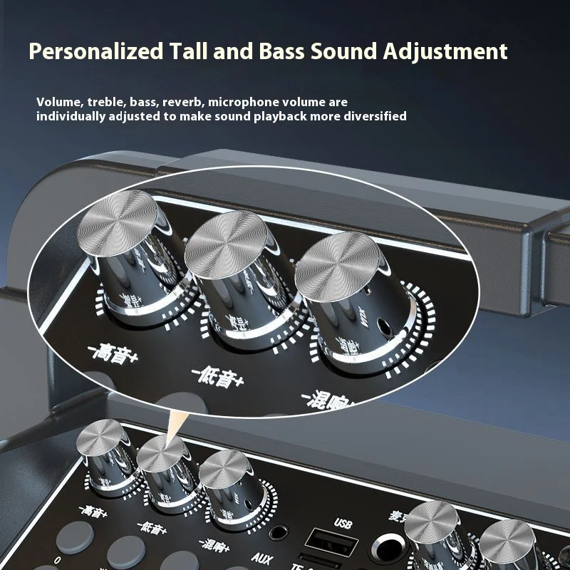 Portable Bluetooth Speaker 10W Powerful Bass Karaoke Machine With Mic USB Speakers IPX2 Waterproof 8M Range For Party Travel