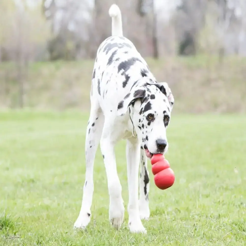 Thumbnail 4 - #88 Latest Treat Dispensing Dog Toys Offers