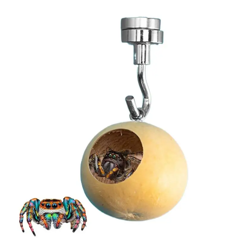 Jumping Spider House | Jumping Spider Hiding Nest With Magnetism | Natural Gourds Jumping Spider Enclosure For Jumping Spiders