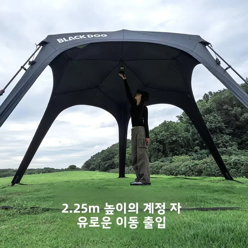 بلاك دوج التخييم في الهواء الطلق مقاوم للماء ظلة البنتاغون في الهواء الطلق خيمة المشي لمسافات طويلة فتح سريع المظلة مدخنة الفم أربعة مواسم #4