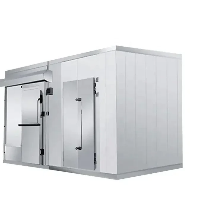 5.89*2.35*2.39M Dual System Cold Storage Minus 18 Degree And 2-8 Degree 1PH 50HZ 220V With Semi Buried doors