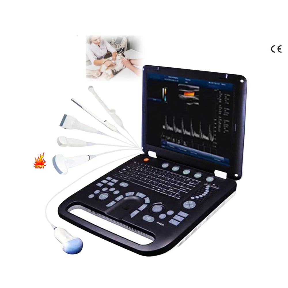 Medical ultrasound instruments SUNBRIGHT 906B veterinary Digital 4D Color Doppler Ultrasound Scanner System ultrasound machine