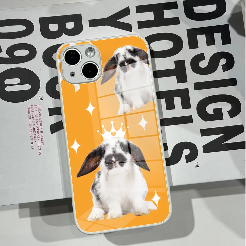 Lovely P-Punk Bunny Phone Case Tempered Glass for IPhone 15 14 11 12 Pro 8 7 14 15 Plus 13 14 Pro MAX XR Rabbit Covers