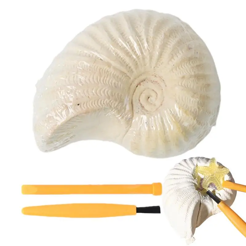 Gem Mining Set for Kids Conch Shape Gemstone Dig Stem Science Kit Excavate Dig & Reveal Gemstones Crystal Digging Set Gifts