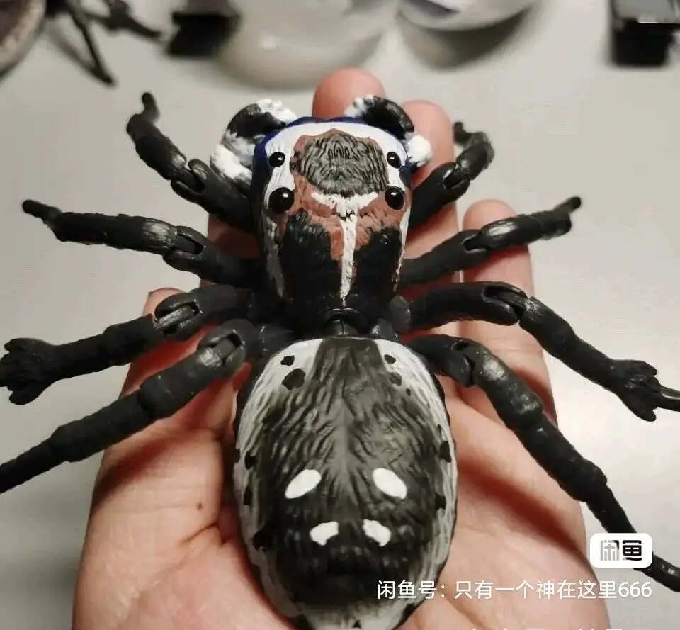 Bandai ของแท้สารานุกรมชีวภาพของเล่น Gashapon นกยูงแมงมุมจําลองแมลง Action ชุดตกแต่งของเล่นสร้างสรรค์