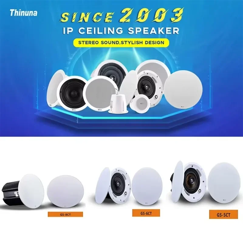 Thinuna MS-10SUB Public Address Sound System High Quality Heavy Bass Ceiling Subwoofer In-ceiling Woofer Bass Speaker