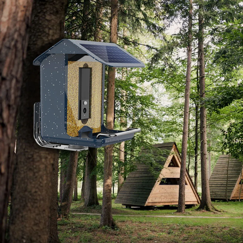 Solar Charging Smart Bird Feeder With Camera WiFi App Installation