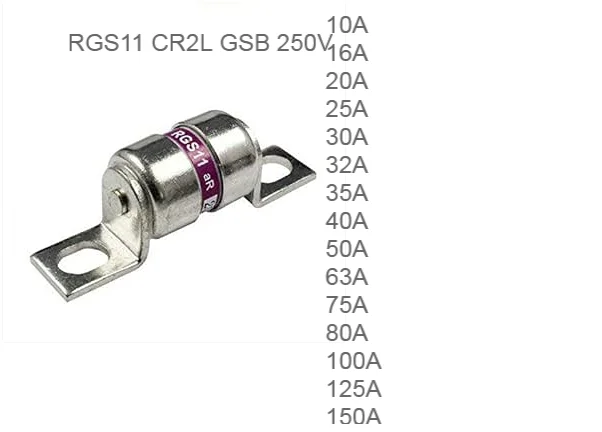 2PCS/LOT Ceramic Fuse RGS11 CR2L GSB 10A 16A 20A 25A 30A 32A 35A 40A 50A 63A 75A 80A 100A 125A 150A 160A 250V