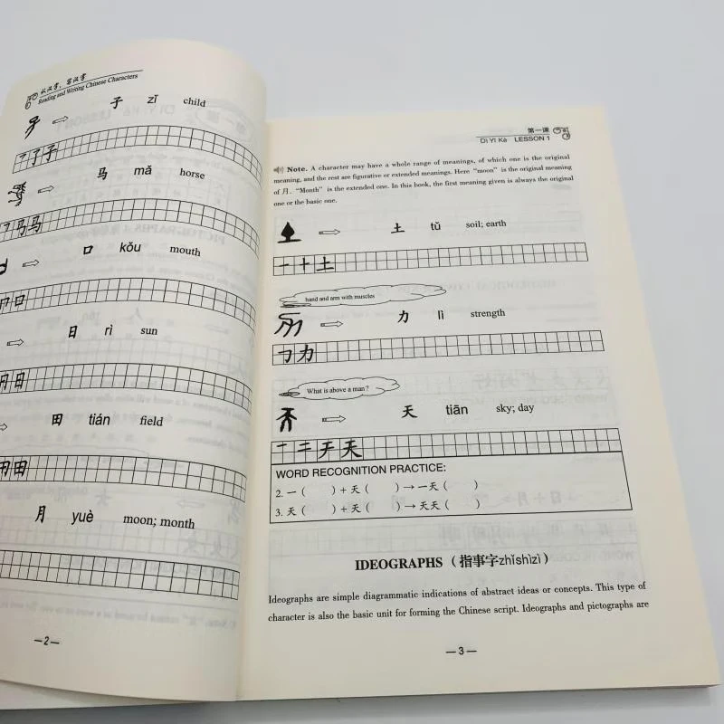 Picture 3: Reading And Writing Chinese Characters