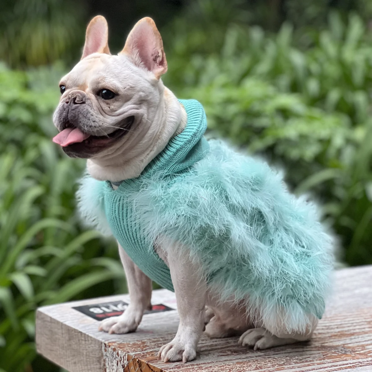 Fashionable Hooded Pet Sweater for Dogs Cats Teddy Bichon Corgi Chihuahua Small Deer Hound Autumn Winter Clothes Animal Shirts