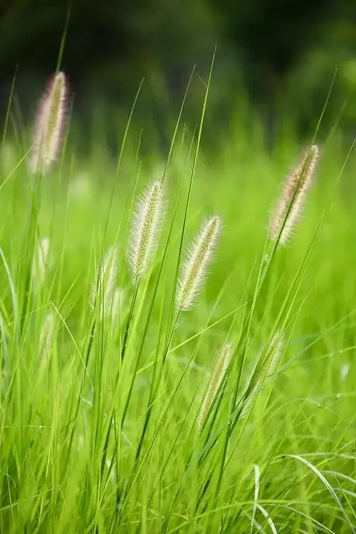 

MN82 LC79 MN78 D90 D91 D96 99S Metal Front and Rear Portal Axle 1/12 RC Car Upgrade Parts Accessories