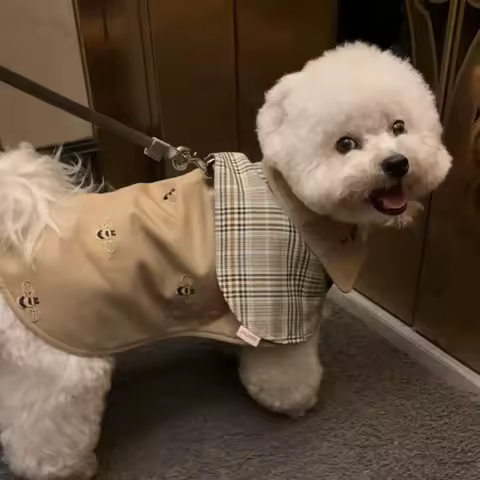 Fashion Dog Bee Trench Coat Cat Autumn and Winter British Cape One-piece Gentleman Cape Medium and Small Dog Schnauzer Coats
