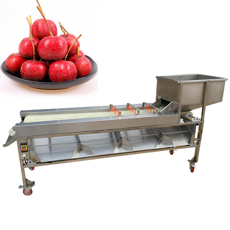 Hot Selling Lemon Peach Plums Olive Size Grader Equipment Price Crayfish Oyster Grading Machine Fruit Grader