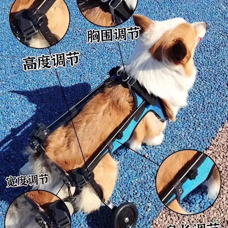 Pet Wheelchair For Hind Legs Disabled Dog Mobility Aid For Small Medium Dogs