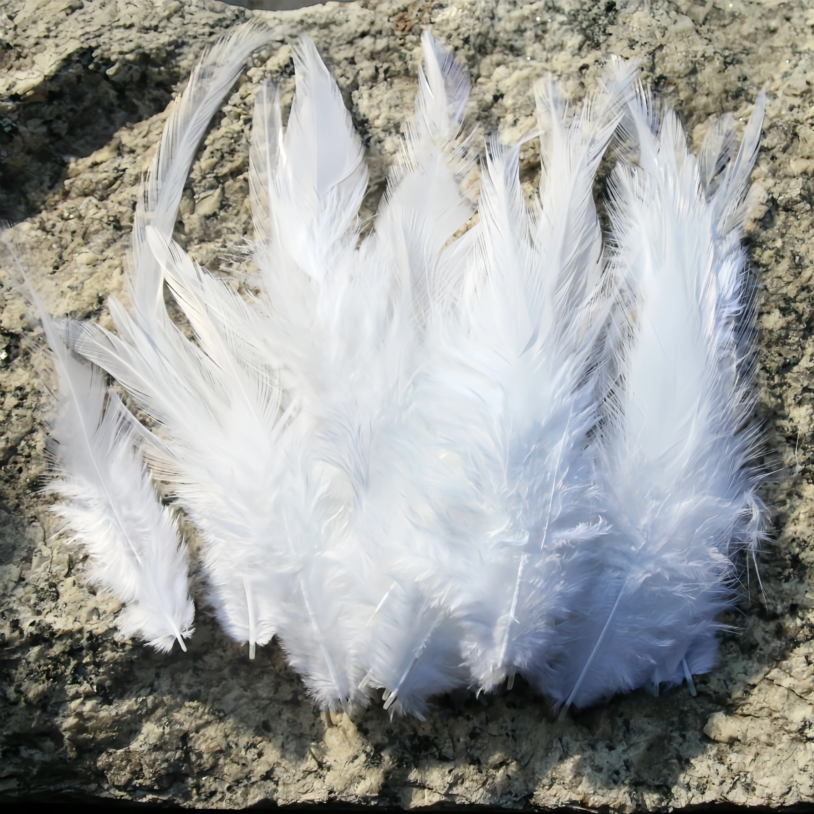 Dyed Chicken Feathers Colorful Natural Chicken Feather Plumes for DIY Crafts Jewelry Dream Catcher Hair Accessories Decoration