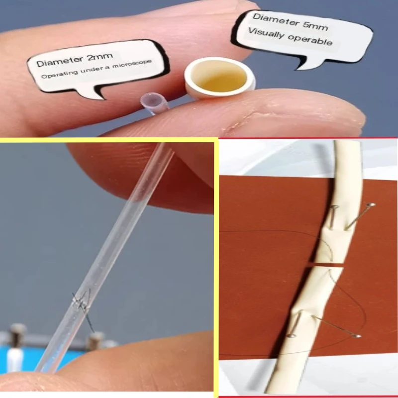 Microsurgery End To End Anastomosis Simulation Blood Vessel 2mm5mm Measurement Suture Skills Training Model Vascular Exercises