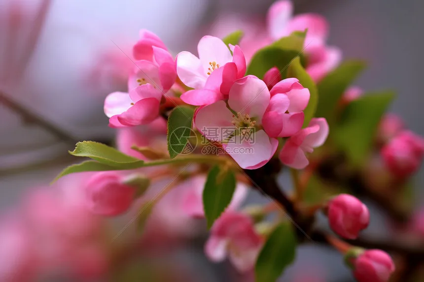 

MN 1/12 MN86 Большой корпус автомобиля для скалолазания с полным приводом G