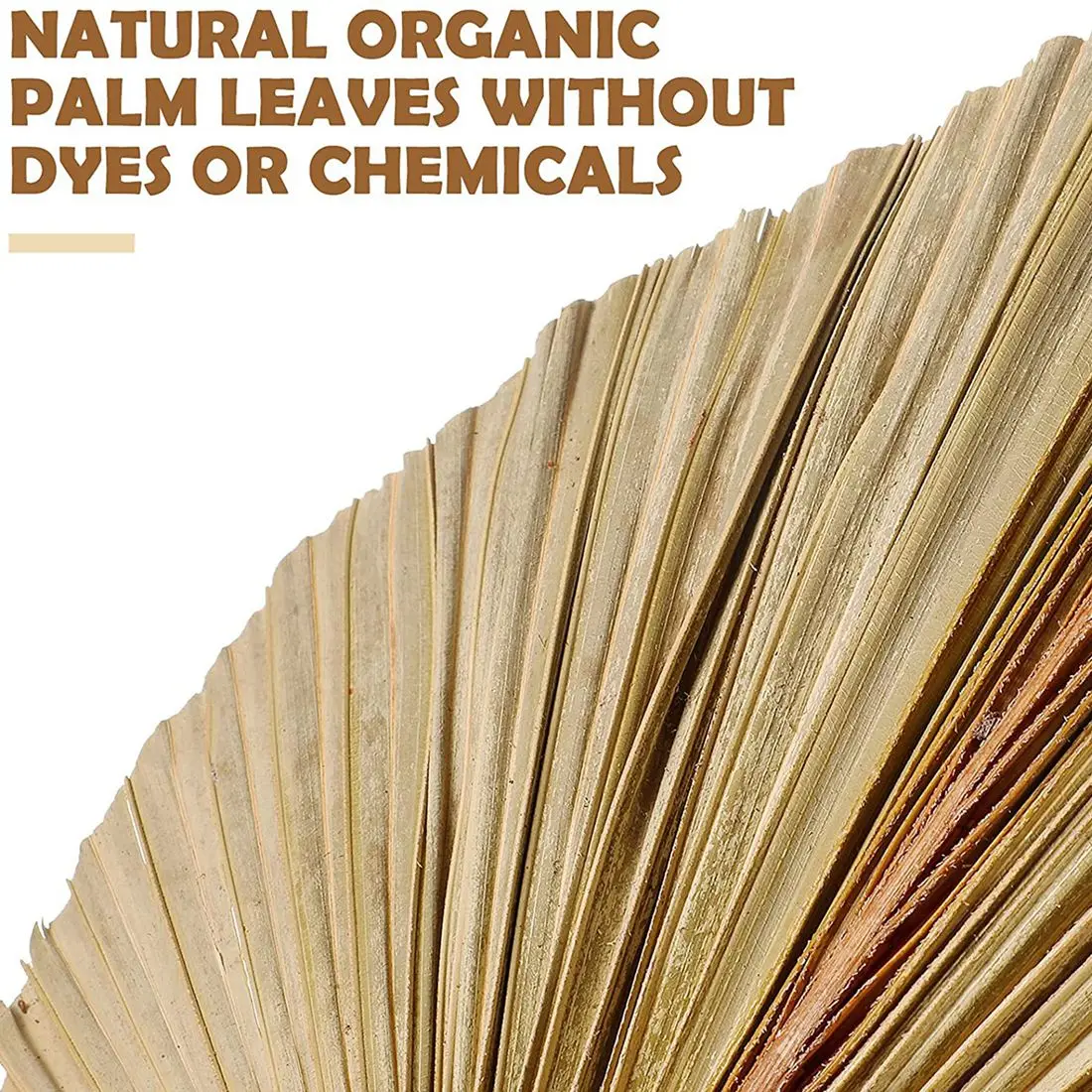 자연 건조 팜 잎 열대 건조 팜 팬, 보호 건조 잎 장식, 가정 주방 결혼식, 5 개