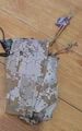 AOR1