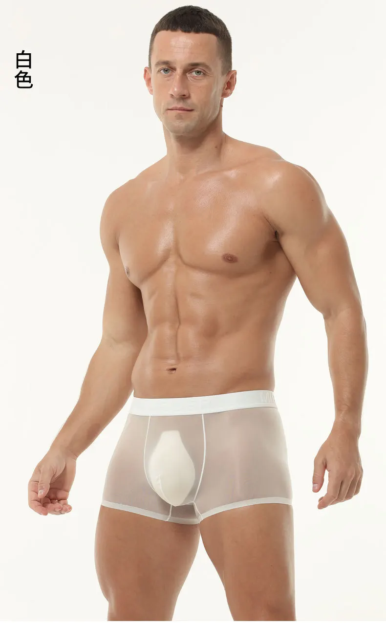 سلس الحرير الجليد شير الملاكم الملابس الداخلية للرجال مثير U محدب الحقيبة سراويل بوكسر شبكة كاملة شفافة رقيقة جدا مطاطا الكلسون