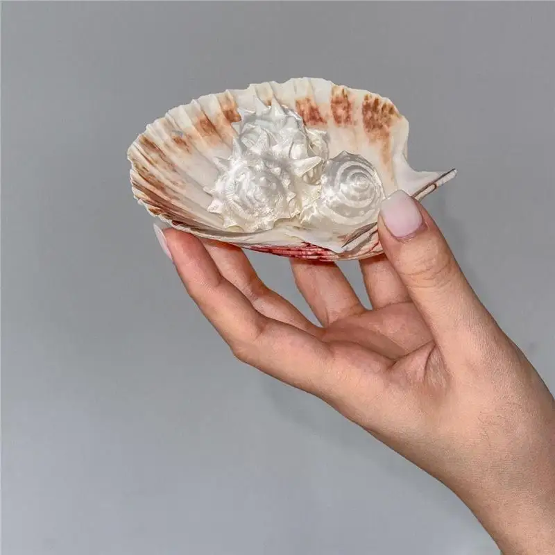 White Resin Starfish Shell Ring With Thorn Design Bohemian Seaside Jewelry Versatile Daily Wear Fashion Gift For Her
