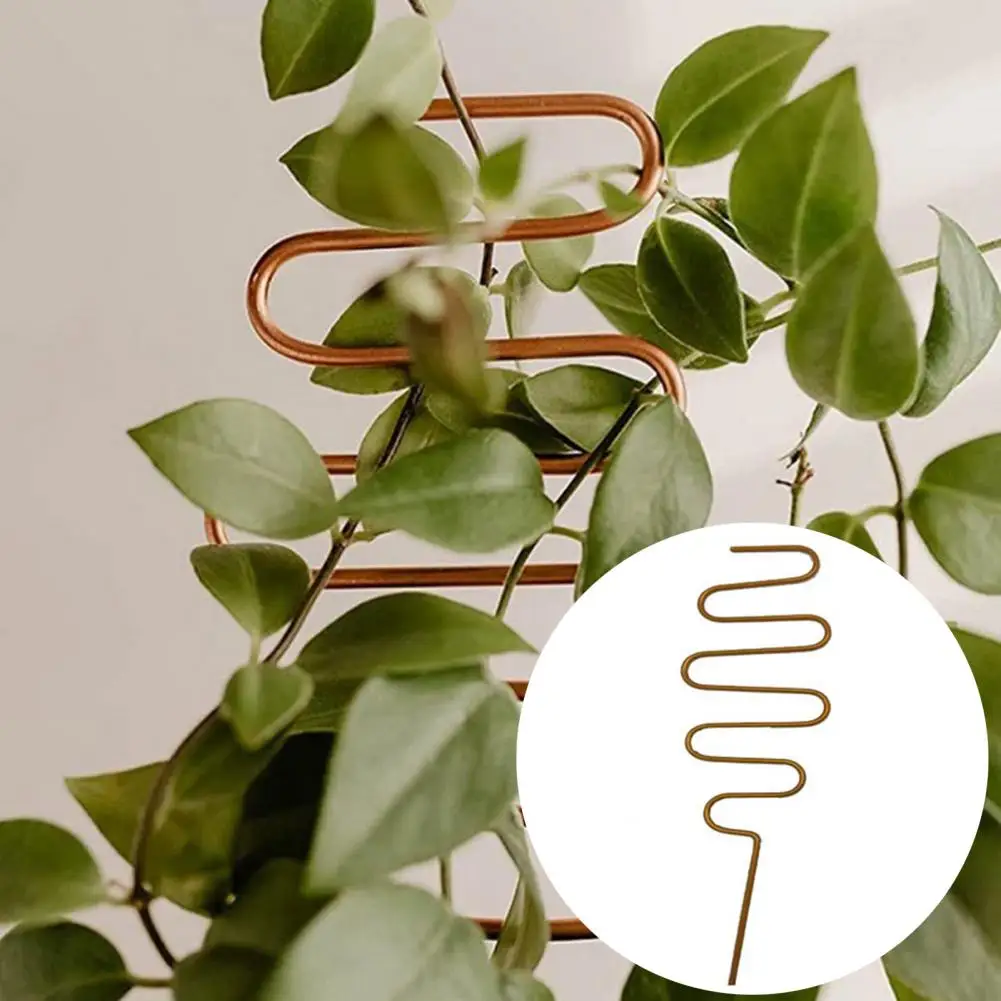 Soporte de escalada para Rosa, resistente a la intemperie, ligero