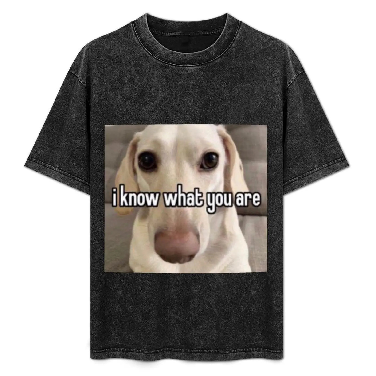 

homophobic dog: i know what you are T-Shirt essential t shirt man t shirt mens graphic t-shirts