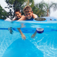 Solar Pool Ionizer Light Up Chlorine Holder Adjustable Chemical Delivery Pool Cleaner Anti-Sinking Pool Cleaning Equipment