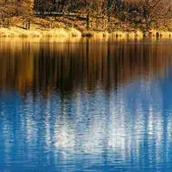 DX-50A Flux-Free We…