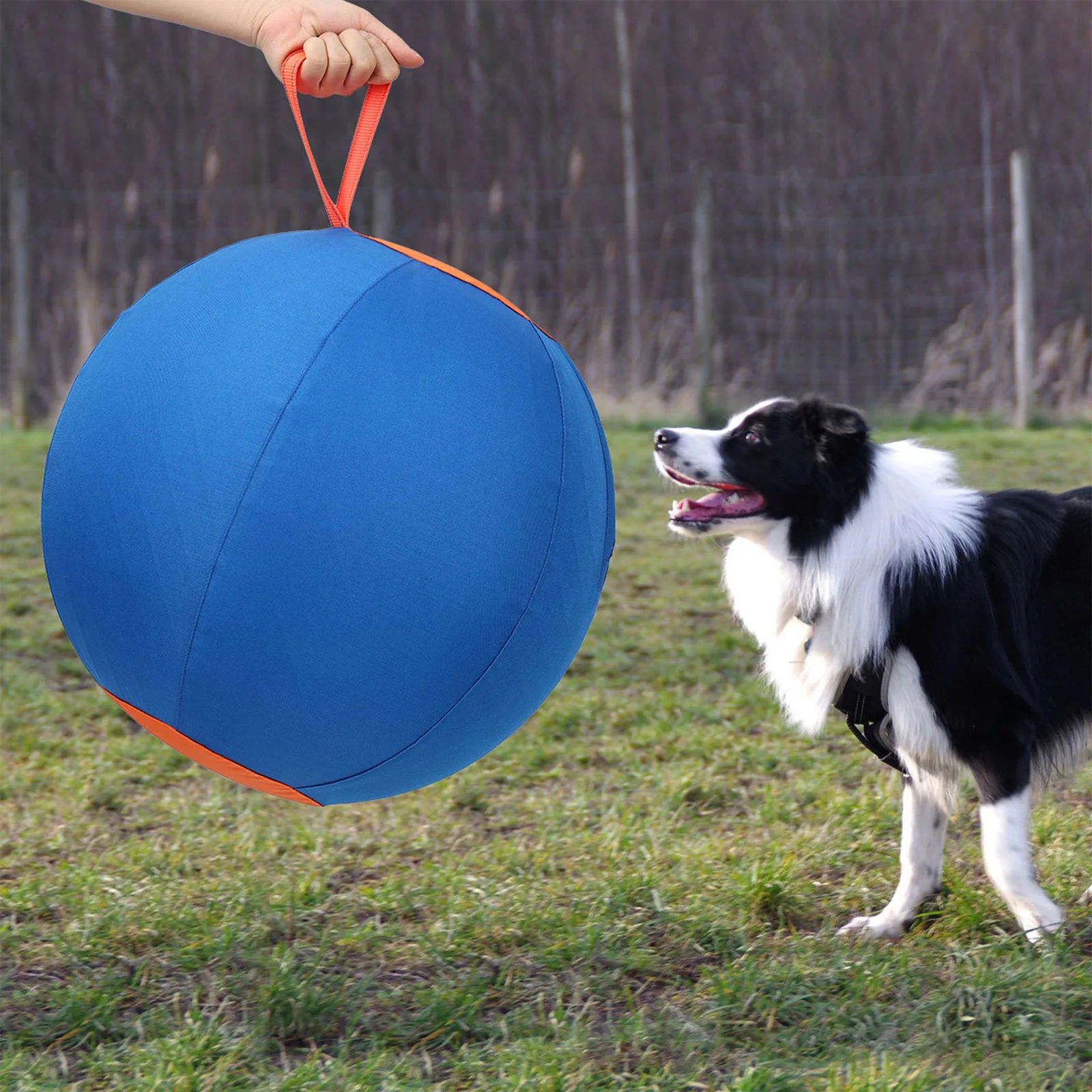 Dog Soccer Ball Toy with Heavy-Duty Handle Cover & Pump Tear- Inflatable Toy for Medium Large Pets Dogs Outdoor