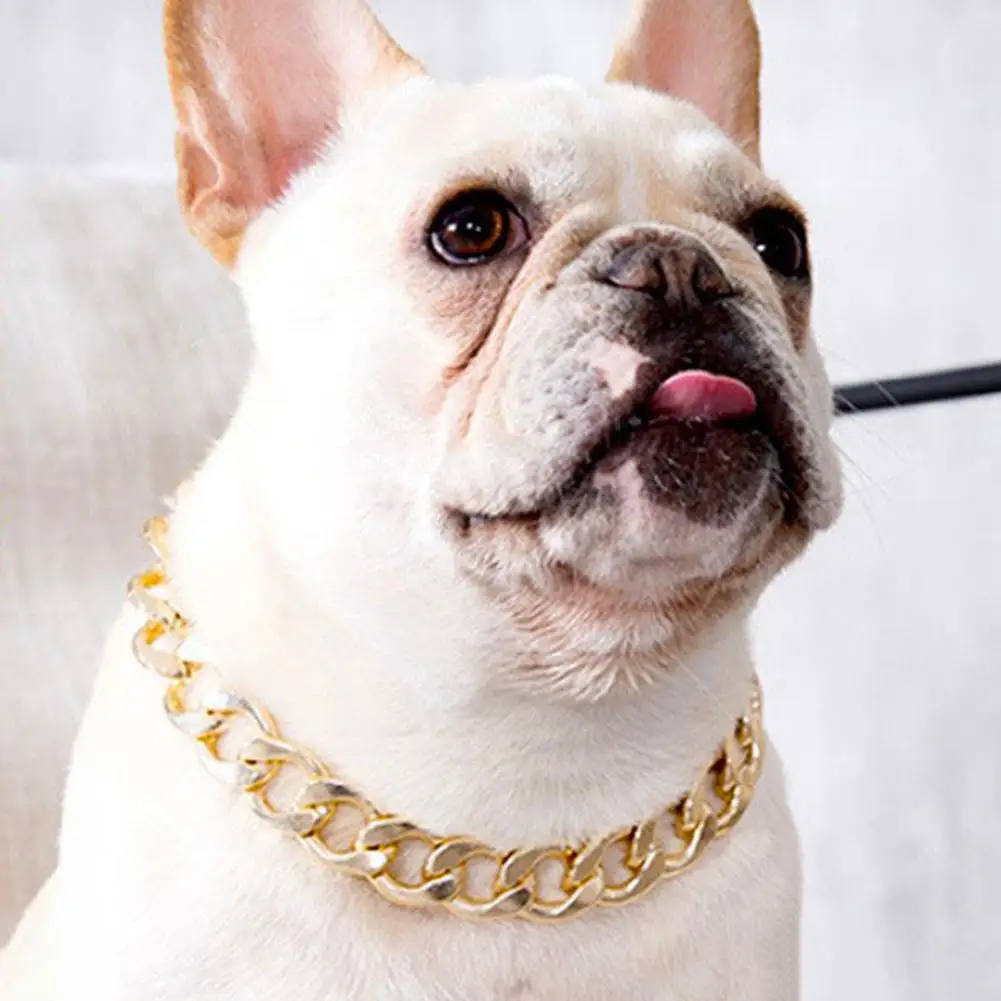 Collar de Bulldog Francés para mascotas, correa ajustable para el cuello, cadena de moda para perros pequeños y medianos, accesorios