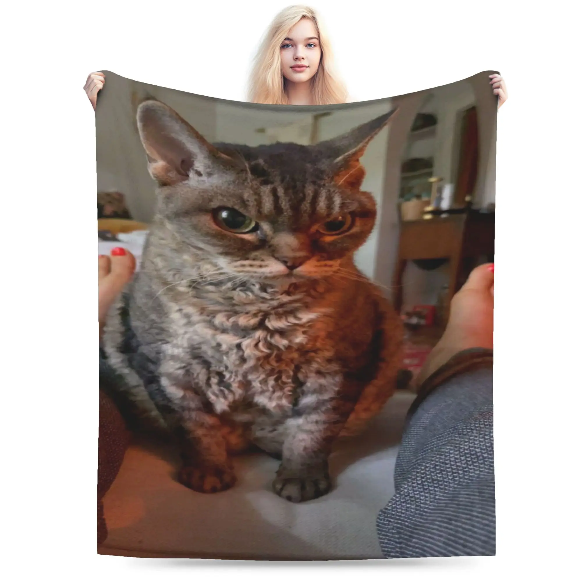 Couverture légère et fine en flanelle, drôle et mignon, chat, chats, mèmes meme Merch, couette fine en peluche confortable
