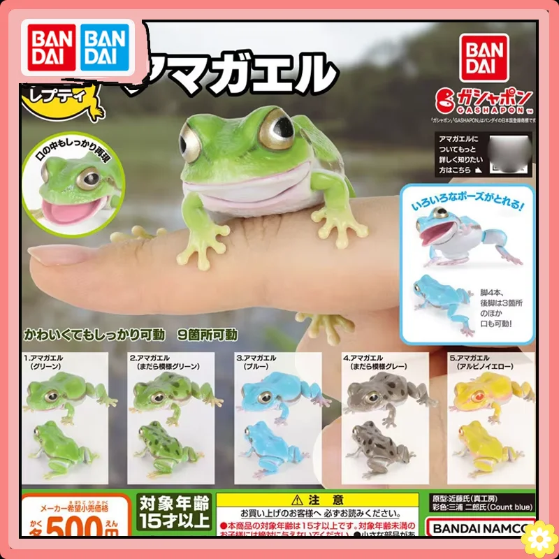 

BANDAI Biological Encyclopedia Action Figures Model Amphibians Tree Frog Rain Frog Gashapon Ornament Capsule Toy Original