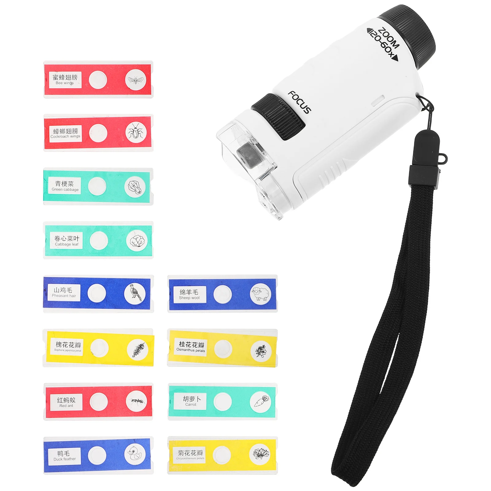 1 conjunto de microscópio portátil para crianças, mini kit científico de bolso óptico, ferramenta de biologia para aprendizagem ao ar livre, exploração