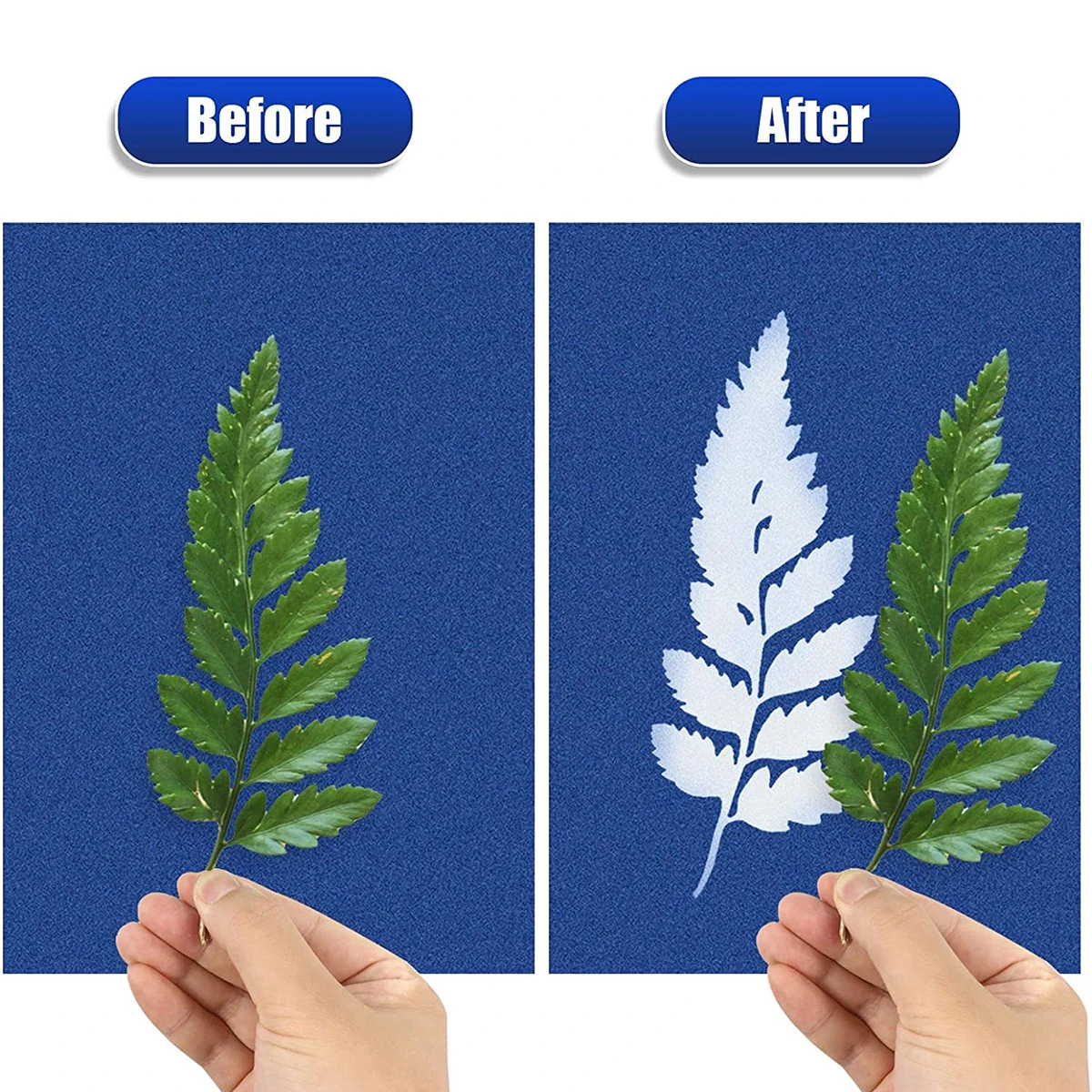 24pcs/40pcs Sun Print Paper Kit with Acrylic Panel Sensitivity Nature Printing Paper Solar Activated Cyanotype Papers for DIY