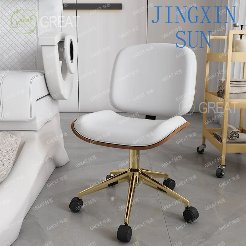 Wholesale Sales Beauty Salon Furniture Barber Work Eyelash Pedicure Stool Salon Stool Beauty Barber Slide Wheelchair