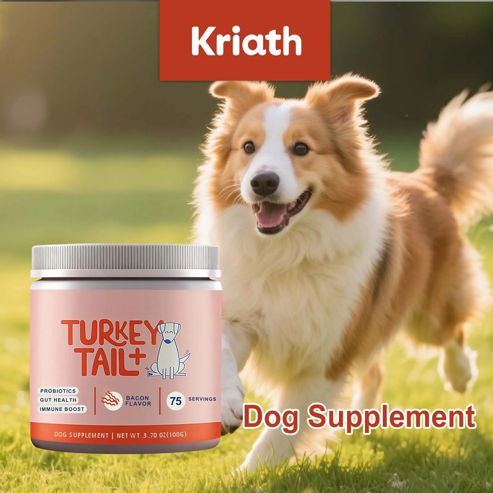 Dog Probiotic Soft Granules Turkey Tail Mushroom Vitamin Supplement Gentle Nourishment Support Gut Health Daily Pet Health Care