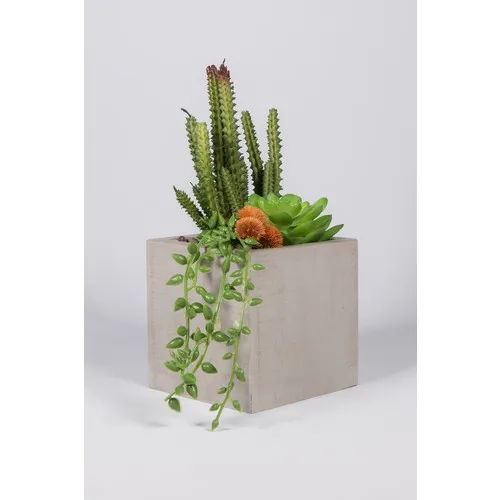 Artificial Çiçekçiniz Gray Concrete Plant Pot Cactus Feast