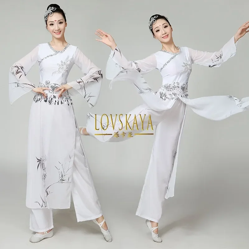 Chinese Feng Shui Ink Dance Classical Dance Performance Costume Female Ethnic Costume Practice Costume Fan Dance