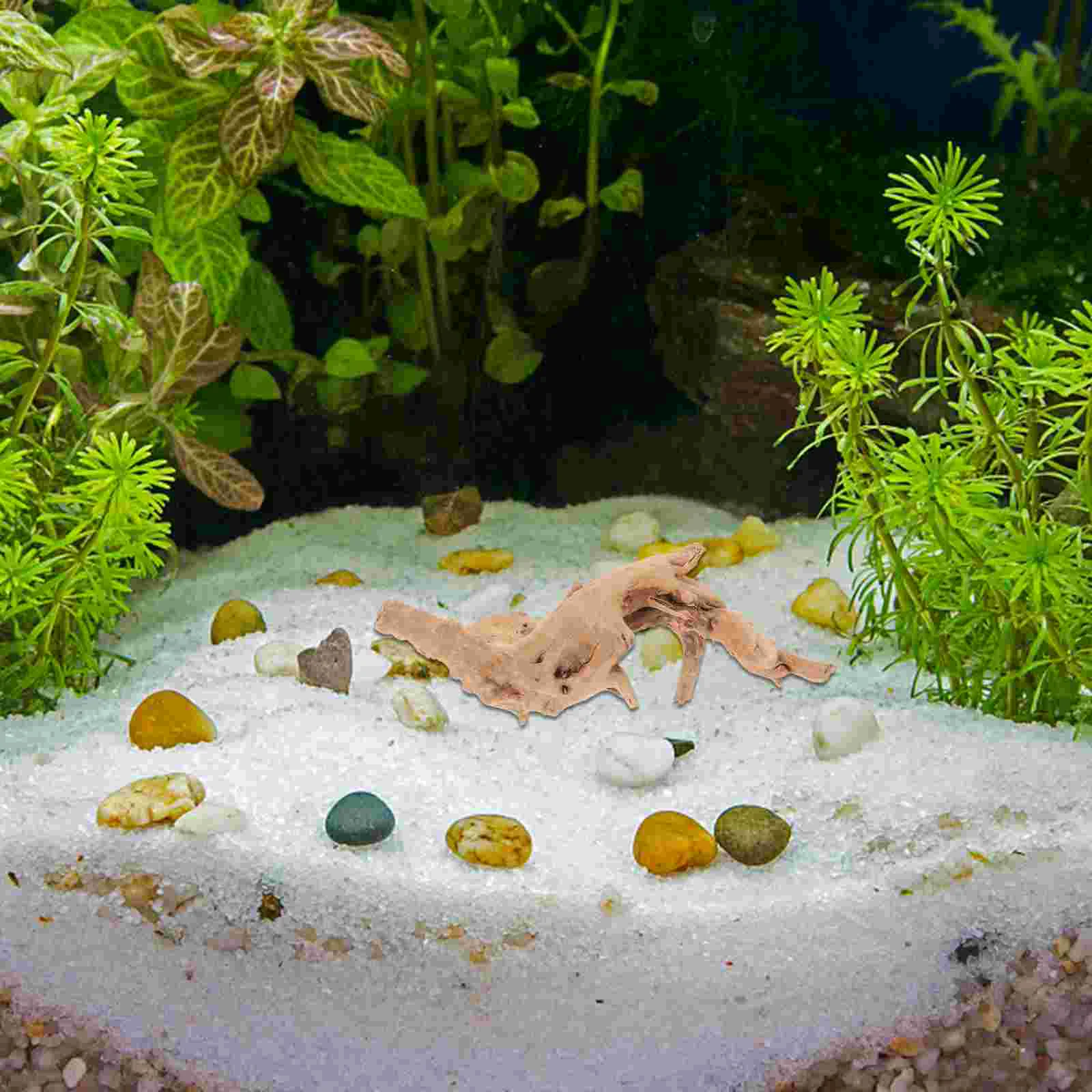 2 Pcs Fish Tanks Landscaping Small Sunken Wood Rhododendron Root Decorative Ornaments 2pcs (10-15cm+15-20cm)