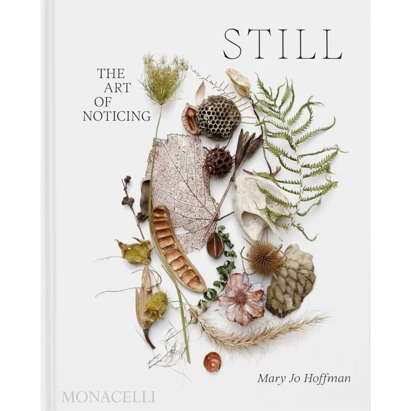 STILL The Art Of Noticing Mary Jo Hoffman Phaidon Press 9781580936330 Book