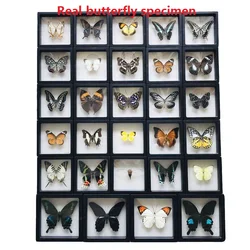 1 new real butterfly specimen insect specimen birthday gift teaching training gift photography props decorative photo frame