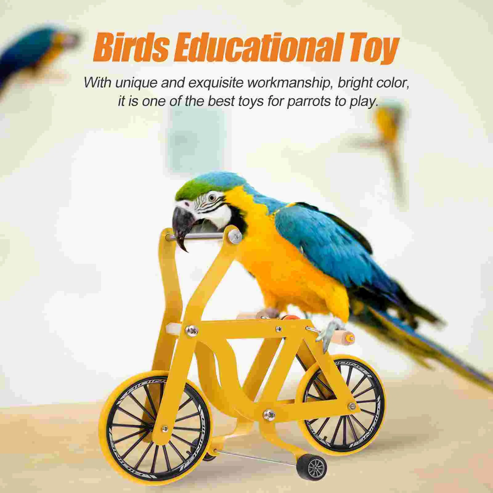 Skateboard Parrot Bicycle Fitness Mini Bike Parakeet Training Toy Metal Bird Plaything